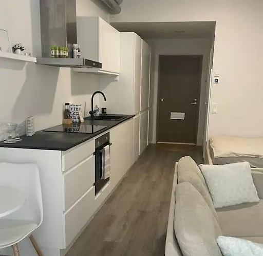 公寓 Yksioe Loistavalla Sijainnilla Sekae Yhteyksillae 万塔